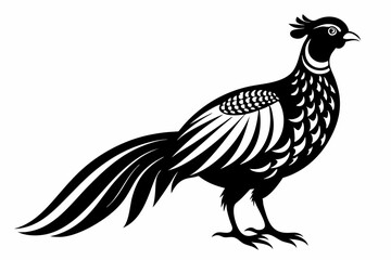pheasant line art silhouette vector illustration
