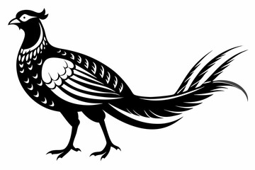 Obraz premium pheasant line art silhouette vector illustration