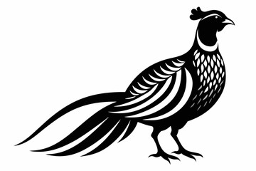 pheasant line art silhouette vector illustration
