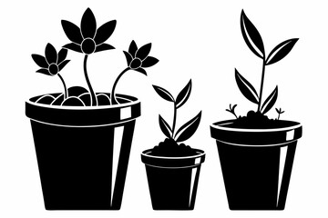 set of flower in a pot line art silhouette vector illustration