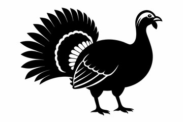turkey line art silhouette vector illustration