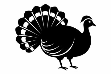 turkey line art silhouette vector illustration