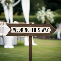 Wedding sign board, wedding this way, wedding reception  