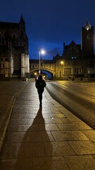 Dublin tour through streets with historic buildings, university, whiskey, beer
