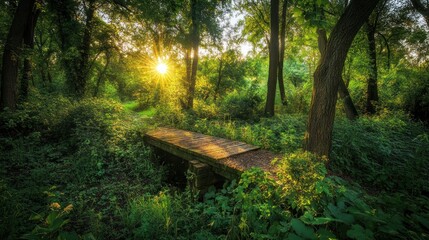A wooden bridge crossing a lush green forest path