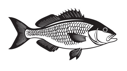 Monochrome Drawing of a Bass or Yelloweye Snapper, Vector Graphic with Detailed Scales and Open Mouth, Ideal for Fishing and Marine Life Themes

