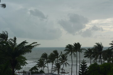 Dark storm clouds in the sky and palm trees bending under the squall wind during a tropical storm on the Andaman Sea.