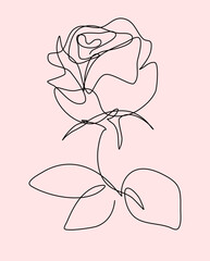 Minimalistic line art illustration of a rose against a soft pink backdrop. The artwork features delicate continuous lines forming the shape of a blooming rose with leaves.
