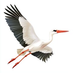 Obraz premium Elegant White Stork in Flight Against a White Background