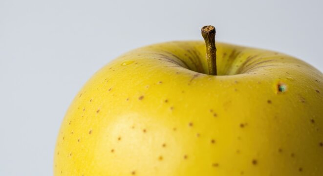 Sliced Red Apple with Others