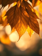 Close-up of Golden Autumn Leaves with Soft Light, Blurred Background and Detailed Texture