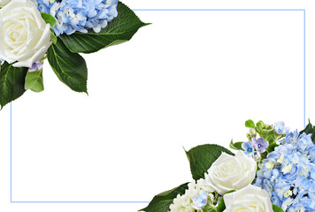 Blue hydrangea, white rose flowers in a floral corner arrangements with frame isolated on white or...