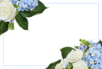 Blue hydrangea, white rose flowers in a floral corner arrangements with frame isolated on white or transparent background