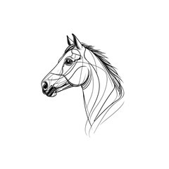 Obraz premium Horse portrait, elegant line art, black and white illustration, copy space 