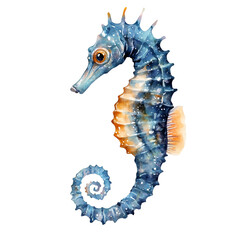 Sea ​​horse clipart