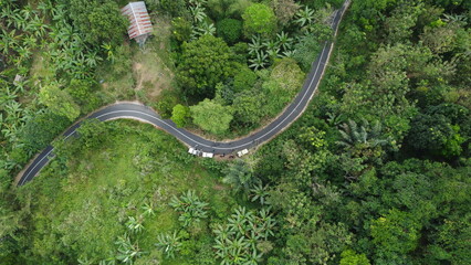 Aerial view of a winding road through green farmland