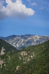 mountain rocky wall with beautiful green pine trees 