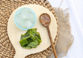 Fresh aloe vera leaves and slices arranged elegantly to highlight their soothing and hydrating...