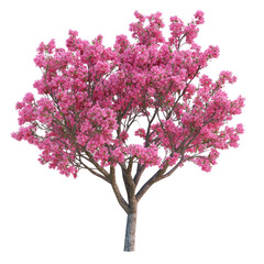 Fototapeta premium PNG Spring tree flowers nature illustration.