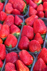 Clear plastic punnets of fresh ripe strawberries on a market stall