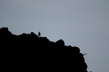 Lone Silhouette on the Mountain Ridge