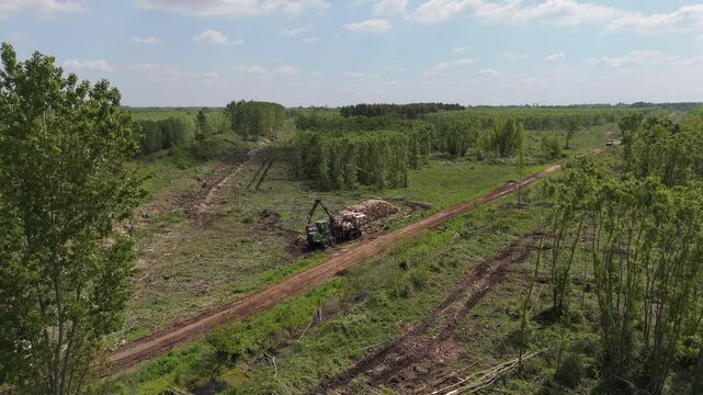 Aerial view of a forest undergoing deforestation with heavy machinery transporting logs. Environmental impact and forest exploitation.