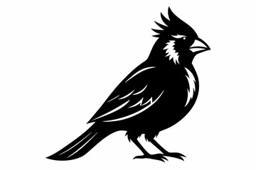 cardinal line art silhouette vector illustration