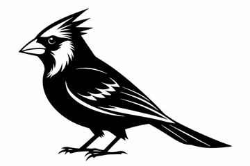 cardinal line art silhouette vector illustration