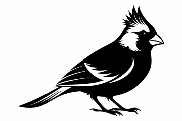 cardinal line art silhouette vector illustration