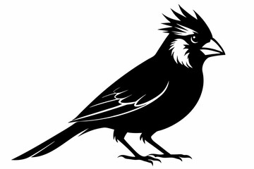 cardinal line art silhouette vector illustration