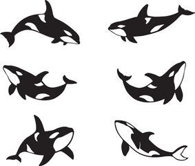 Orca Whale Silhouette Collection
