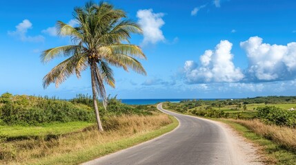 A tropical island road with a tall coconut tree standing in the middle, swaying in the warm breeze