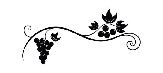 Vector illustration of grape vine with leaves and grapes isolated on white background