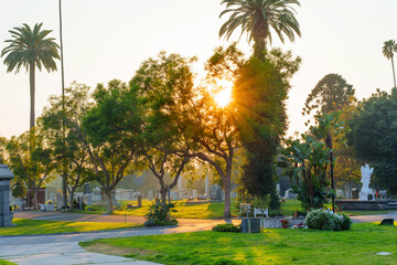 Sunset Over Hollywood Forever Cemetery with Lush Trees and Monuments