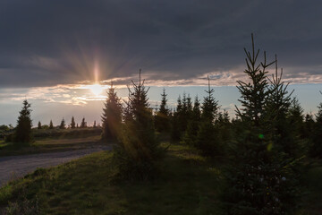 Fototapeta premium Sky with storm clouds band over the spruces before sunset