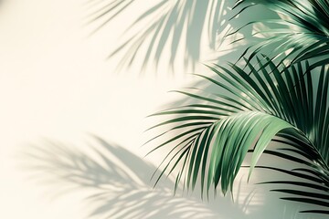 Minimalist Palm Leaves with Soft Shadow on Pastel Wall, Elegant Greenery Design for Nature