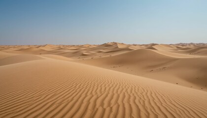 Expansive Desert Landscape with Soft Sand Dunes Under Clear Sky