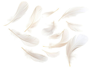 Isolated Group of Soft White Feathers Floating in Air