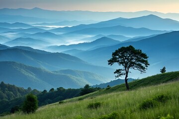 Misty Mountain Landscape with Solitary Tree at Dawn