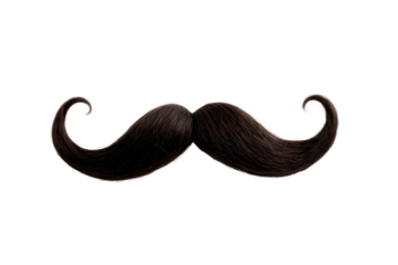 Isolated Dark Brown Handlebar Mustache Detailed