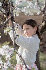 A little girl in a white sweater stands in an alley of blooming almond trees. She gently touches the delicate white flowers on the branches, surrounded by soft sunlight and a serene spring atmosphere.