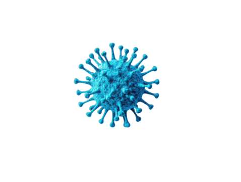 Isolated Detailed Structure of Corona Virus Cell