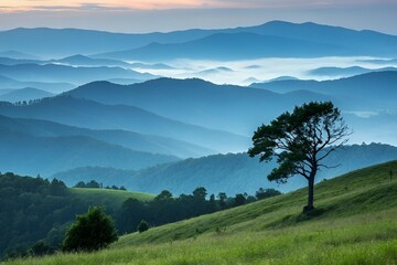 Misty Mountain Landscape with Solitary Tree at Dawn
