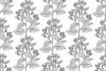 Fototapeta premium Line art botanical seamless floral pattern with wildflowers vector illustration.Black and white outline repeating plant in white background. Graphic design for Fashion Cover Textile Coloring Page Card