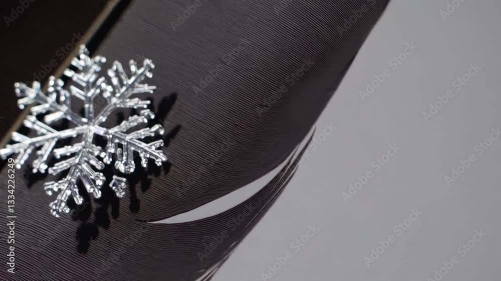 Poster Delicate Snowflake on a Soft Feather Showcasing Harmony and Simplicity in Nature's Design