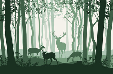Vector illustration of green forest landscape with trees and deer	