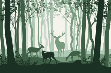 Gardinen Vector illustration of green forest landscape with trees and deer  © Kateina