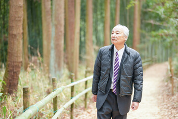 Fototapeta premium A forest path on a rainy day in Japan, with lots of green spring. A Japanese man in his late 70s is standing in a suit and a down jacket. He has a folding umbrella.