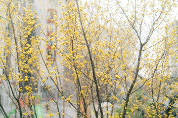 カフェで食べる朝食とコーヒー