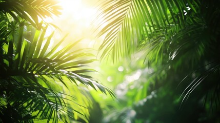 Tropical Jungle Background with Lush Green Leaves and Sunlight Filtering Through Canopy - Exotic Nature and Rainforest Atmosphere